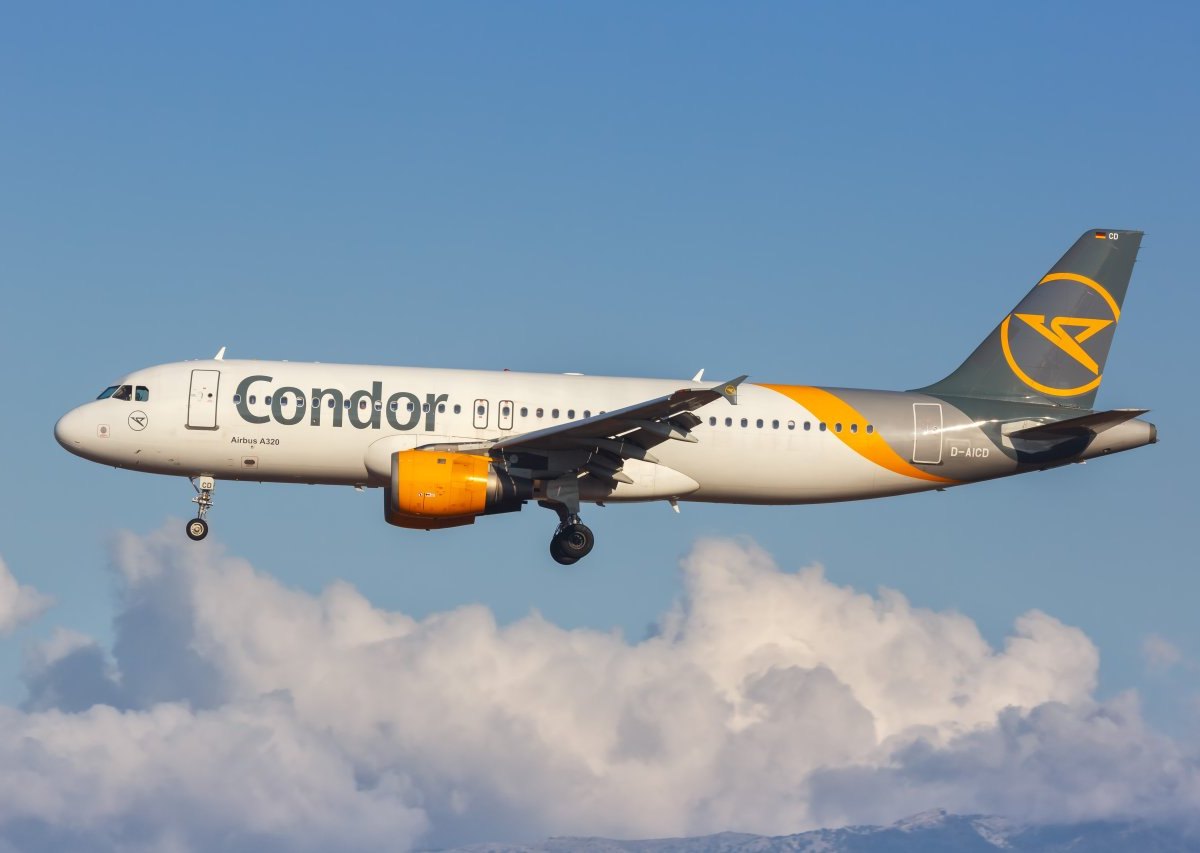 Condor Flugzeug