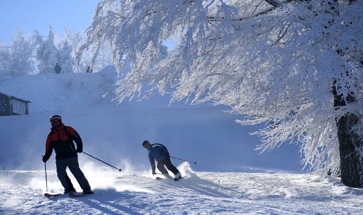 Großer Inselsberg bei Tabarz, Rennsteig, Winter, Schnee, Ski