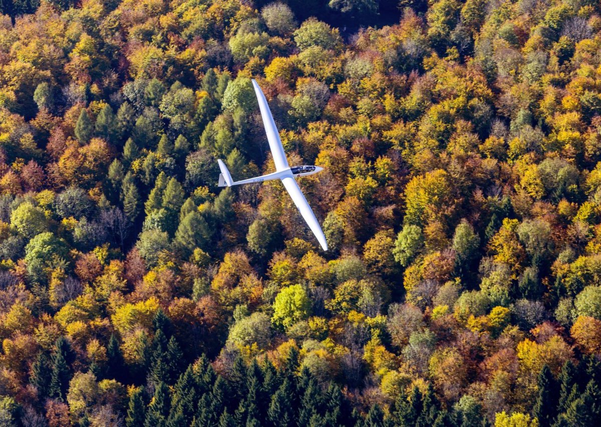 Segelflugzeug