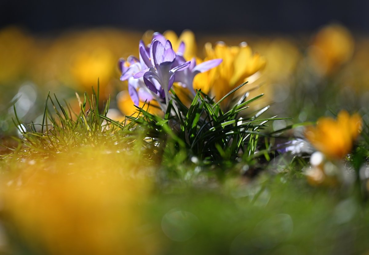 wetter in thüringen frühling.jpg