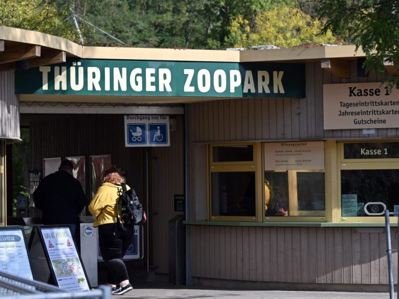 Zoo Erfurt: Reges Treiben im Gehege! Besucher werden es sofort bemerken