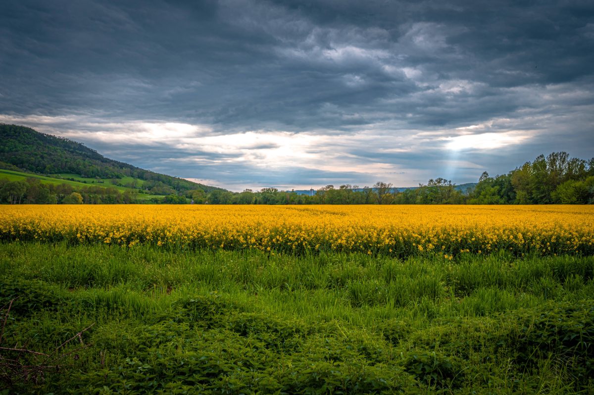 wetter thueringen