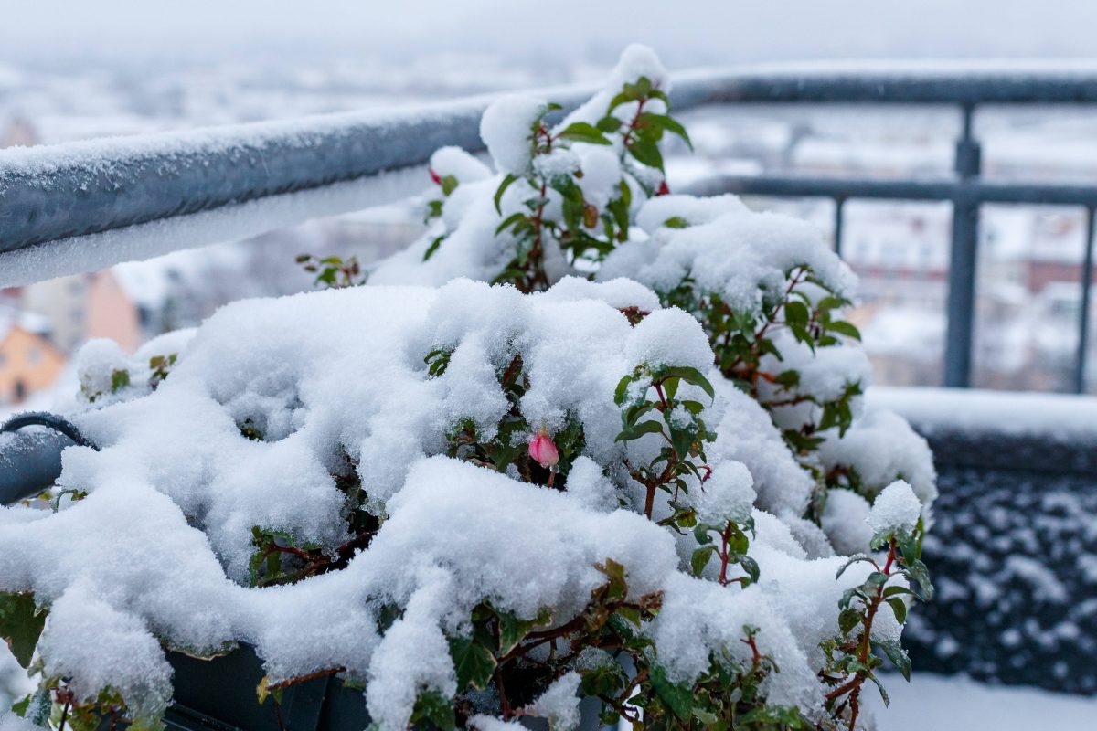 Wetter in Thüringen Wintereinbruch