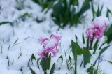 Wetter in ThÃ¼ringen