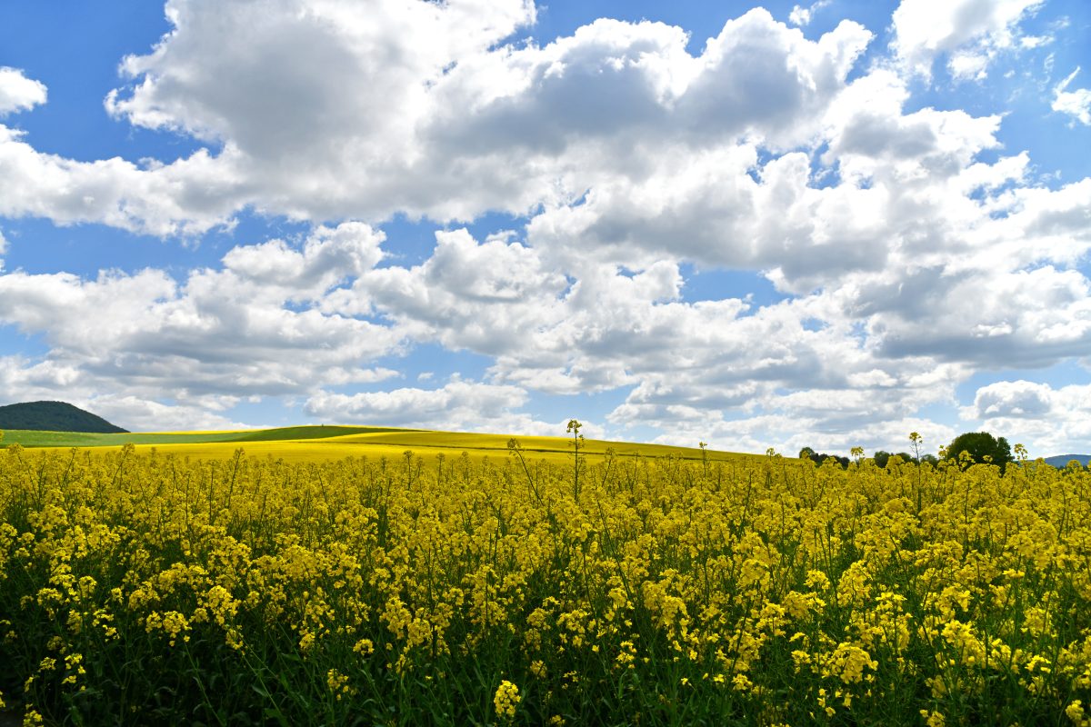 wetter thueringen