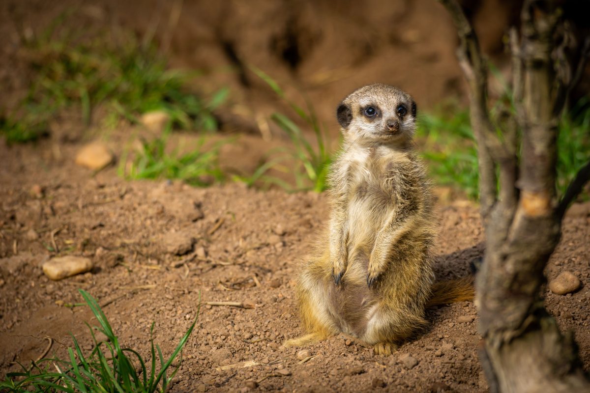 Zoo Leipzig