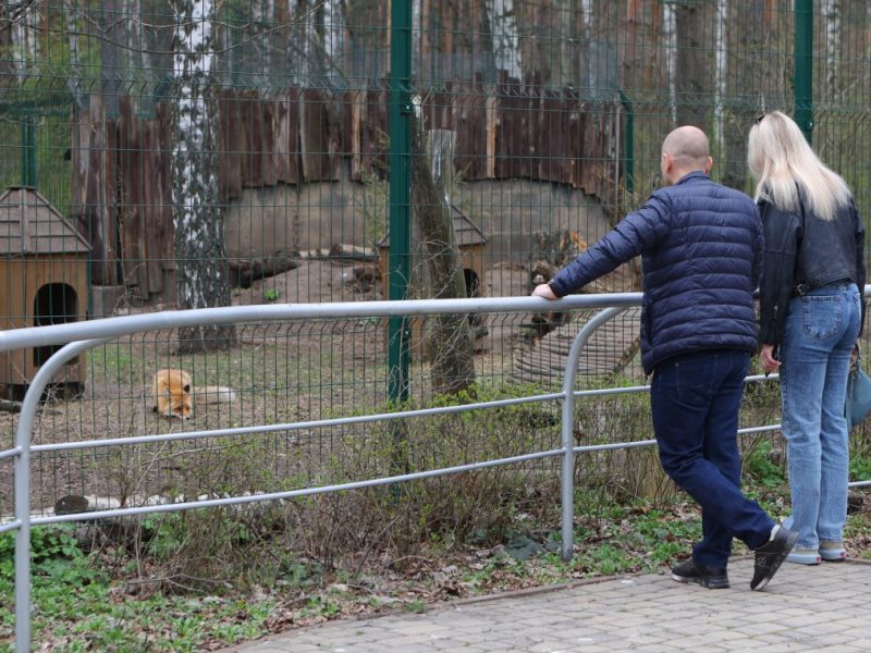 Thüringer Tierpark von Besucher-Verhalten entrüstet! „Definitiv die Hutschnur geplatzt“
