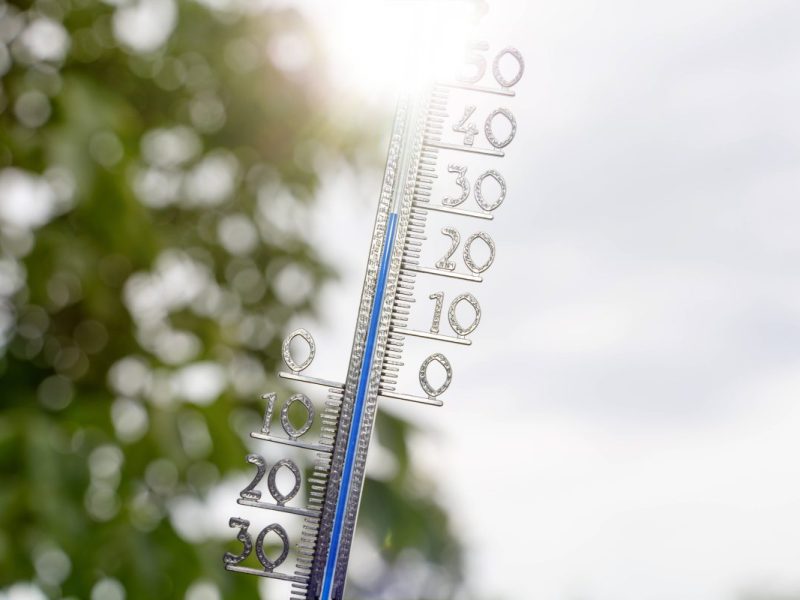 Wetter in Thüringen: Experte mit Sommer-Prognose – „Unverkennbar“