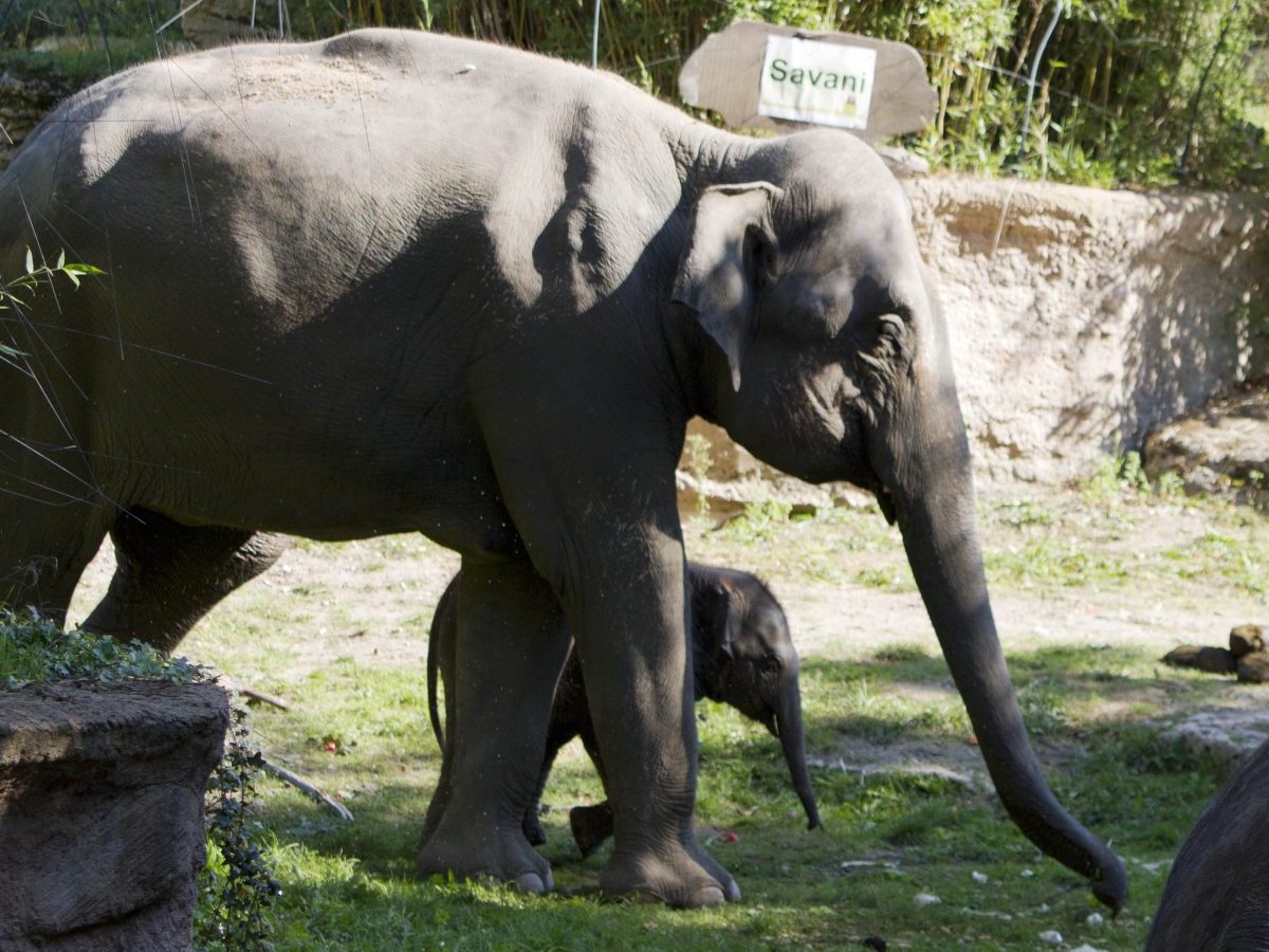 zoo leipzig