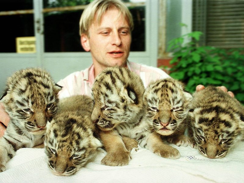 Zoo Leipzig: Wilde Gerüchte um Pfleger-Legende! Je
	<div class=