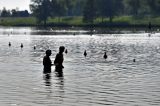 Dieser Badeausflug war sicher weniger spektakulär geplant: Gäste eines Sees haben eine Entdeckung gemacht, die ihnen keine Ruhe ließ.