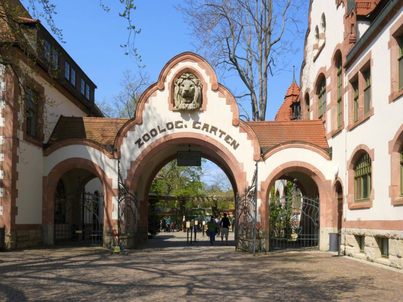 Zoo Leipzig: Neuer Nachwuchs! Er ist eine Überraschung