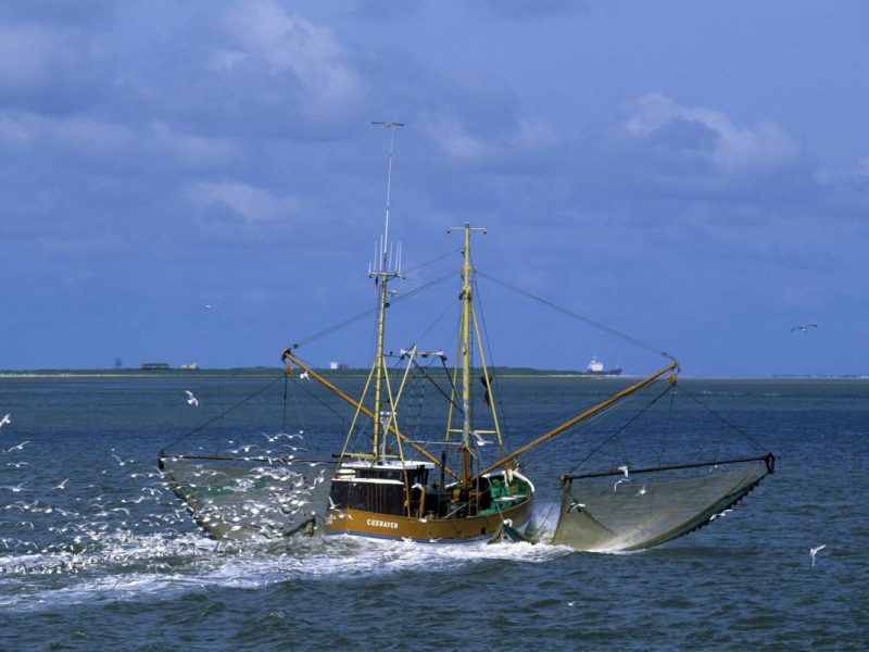 Urlaub an der Nordsee und Ostsee: Preise steigen drastisch an – Fischer in Existenznot