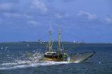 Urlaub an der Nordsee und Ostsee: Fischer in Existenznot
