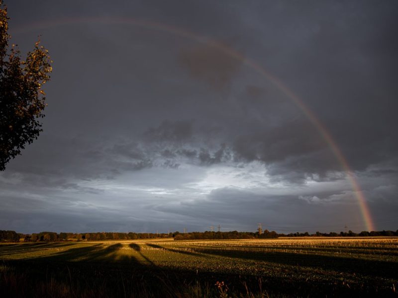 Wetter in Thüringen: Kommt die große August-Überraschung? Experte deutlich – „Weit und breit nicht zu erkennen“