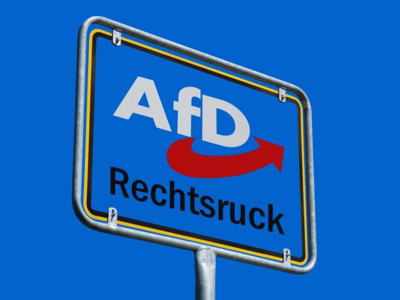 AfD zu erfolgreich – genau deshalb muss sie jetzt eigene Wähler enttäuschen
