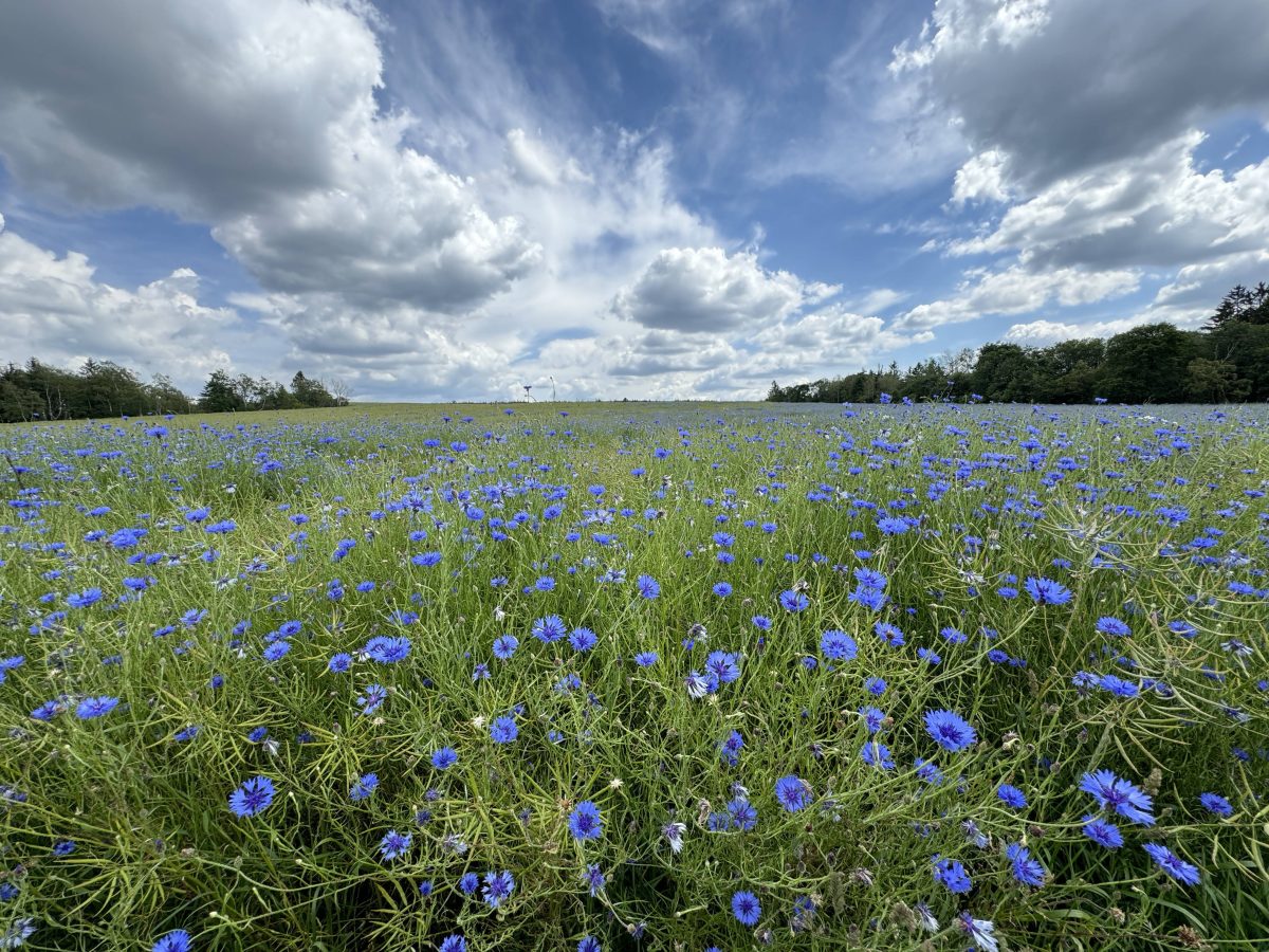 wetter thüringen