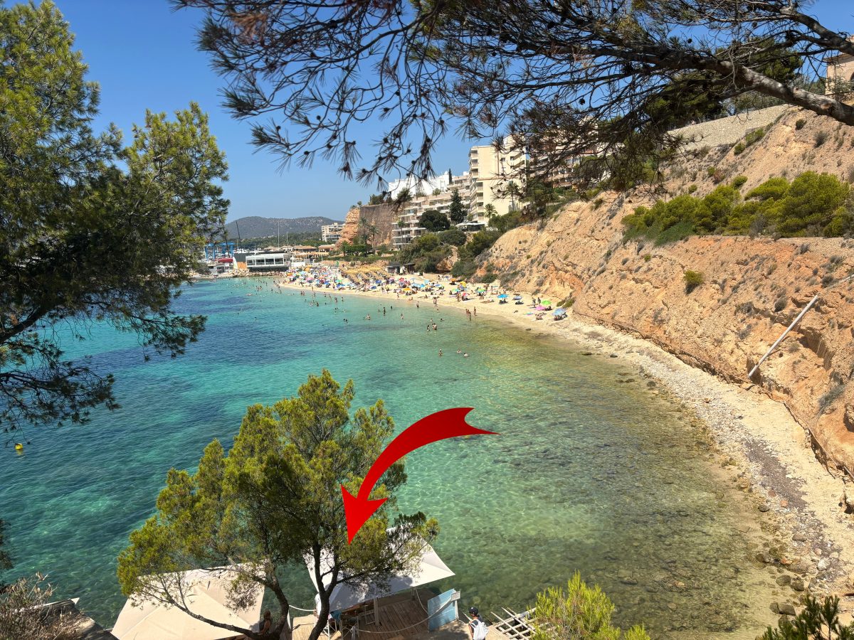 Urlaub-auf-Mallorca-Achtung-Promi-Alarm-In-DIESER-Bar-k-nntest-du-deinem-Idol-begegnen