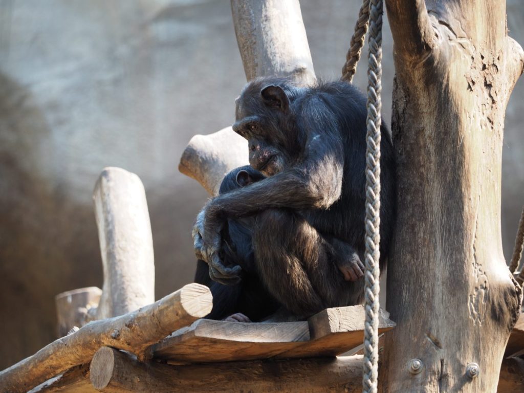 zoo leipzig