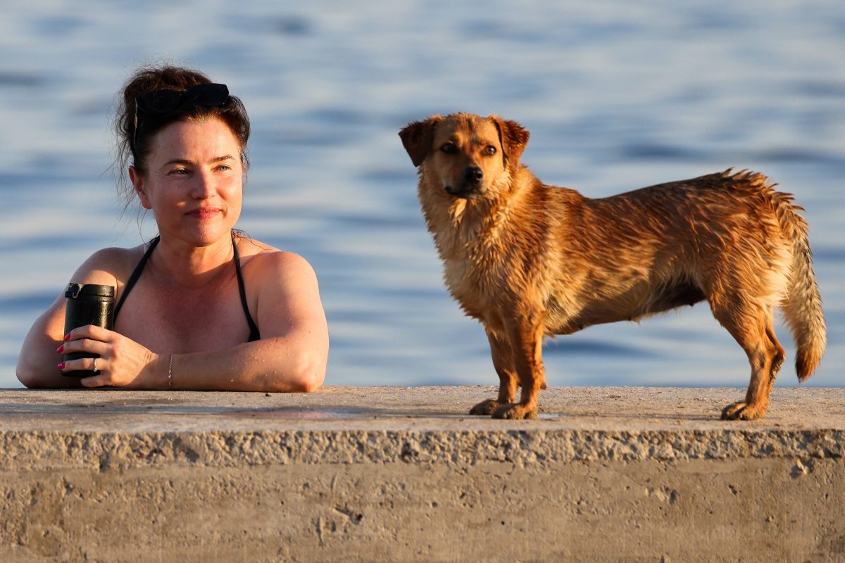 Urlaub auf Mallorca mit Hund