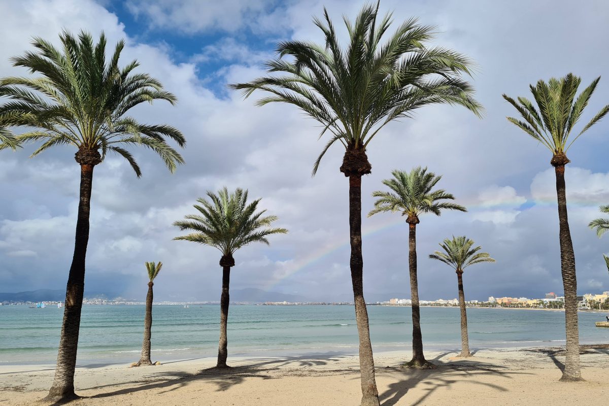 Das Wetter auf Mallorca soll ungemütlich werden!