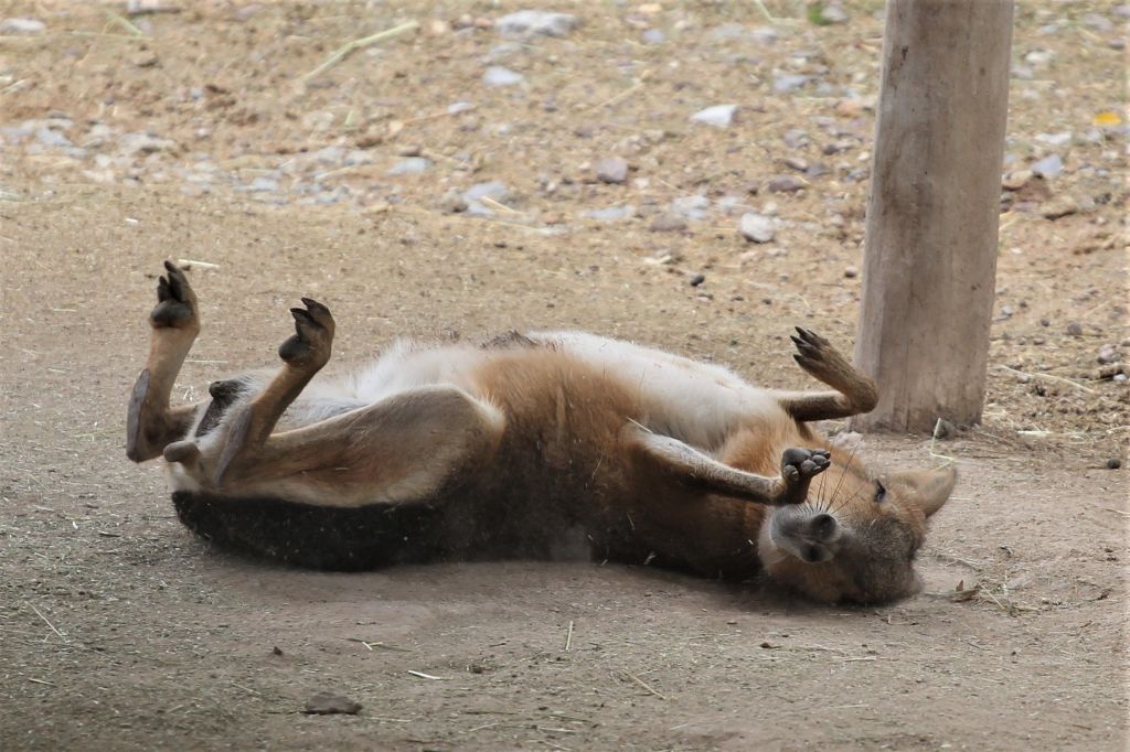 Zoo Erfurt