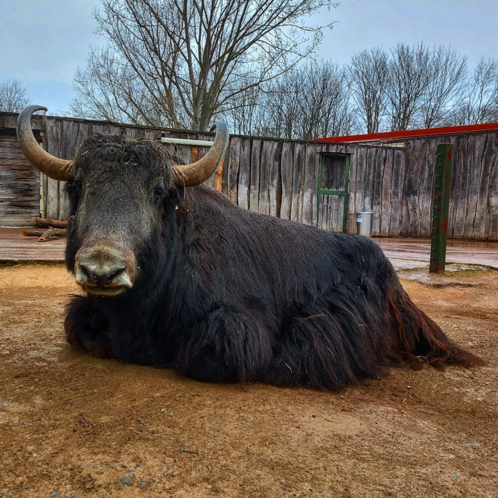 Zoo Erfurt