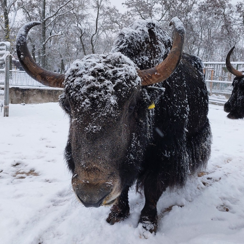 Zoo Erfurt