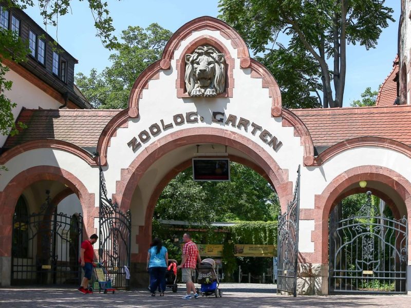 Zoo Leipzig: Ungewöhnlicher Besuch! Er hat eine wichtige Botschaft