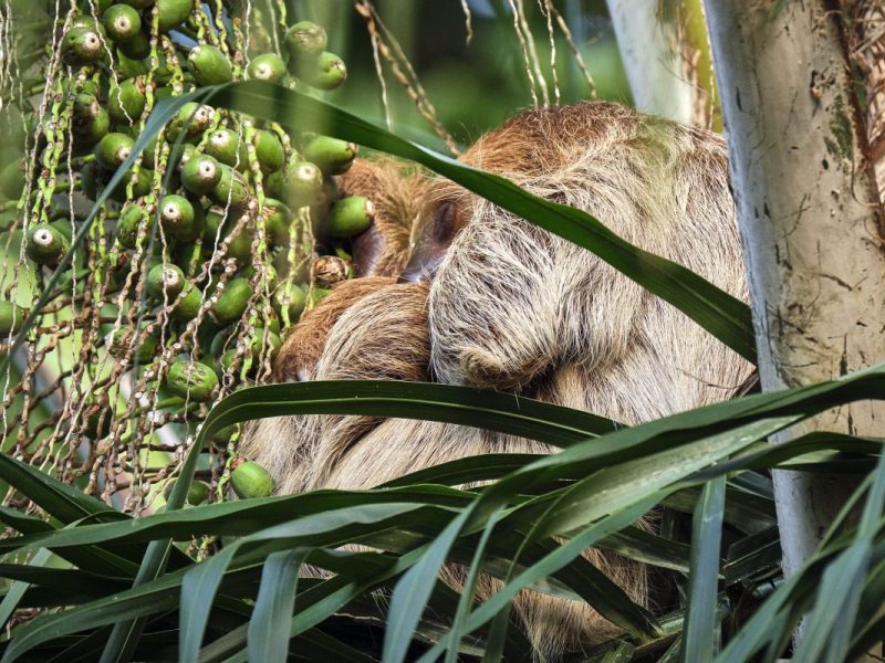 Zoo Leipzig: Aufregung im Gondwanaland! Mitarbeiter traut seinen Augen kaum – „Was ist das?“