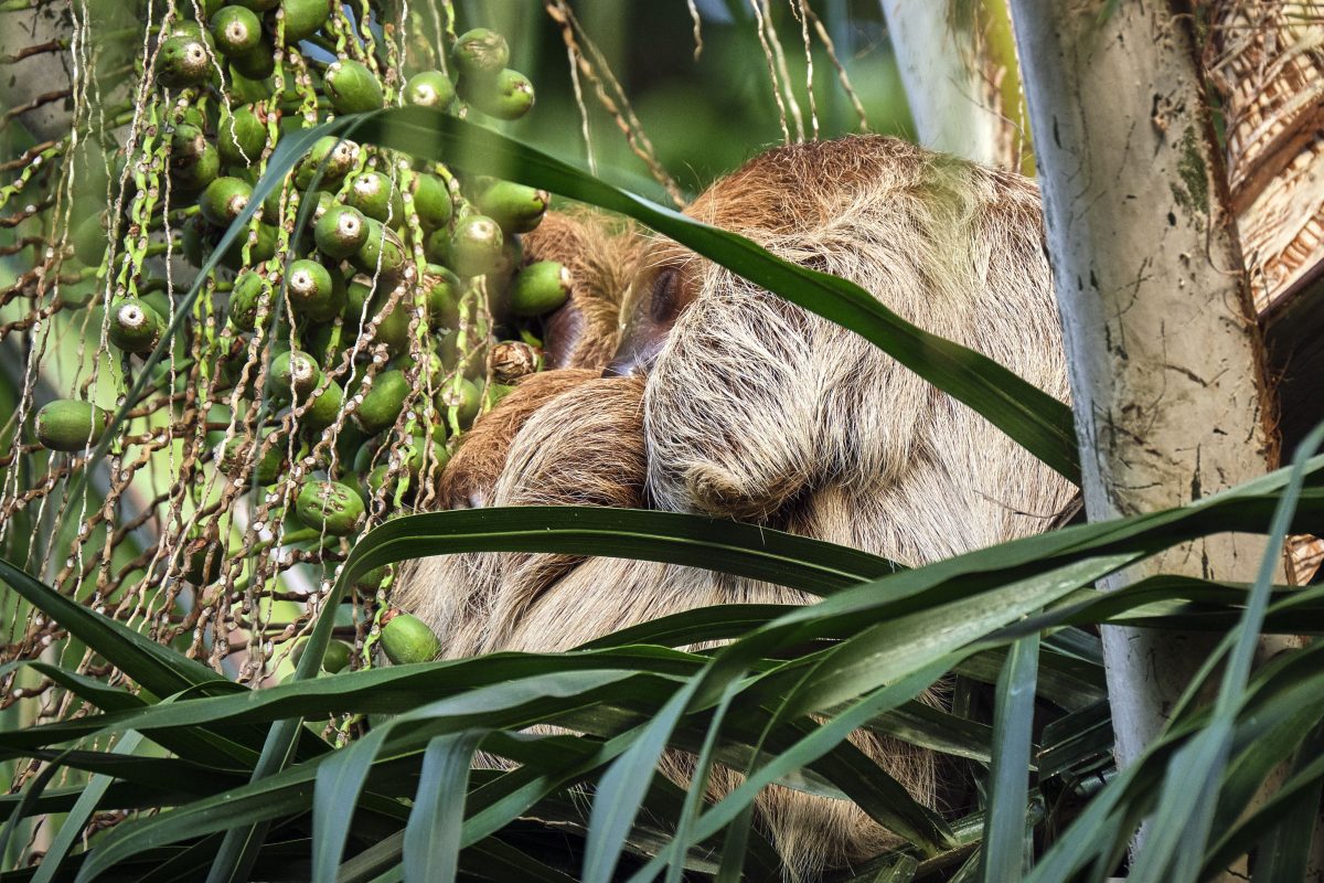 Zoo Leipzig