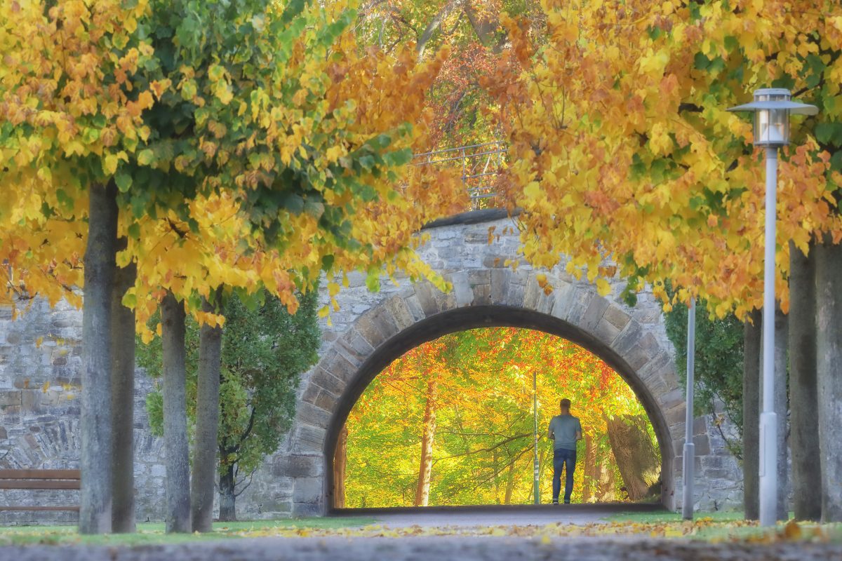 Wetterprognose Oktober - Spätsommer und Vollherbst liegen dicht beieinander