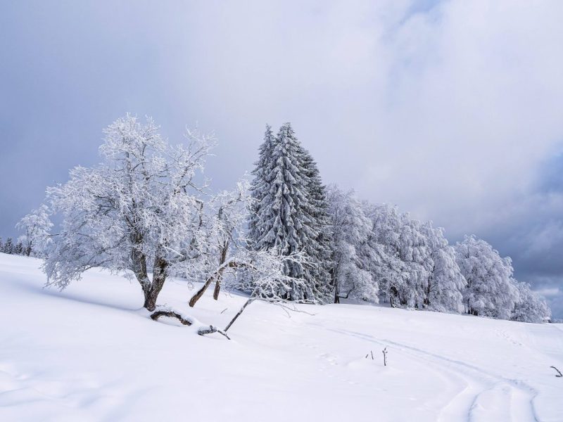 Wetter in Thüringen: Erster Winter-Trend! Experte mit klarer Prognose