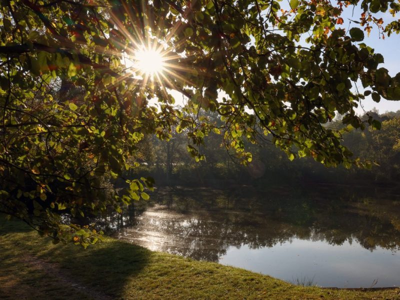 Wetter in Thüringen: Droht der Oktober-Sommer? Experte mit eindeutiger Prognose