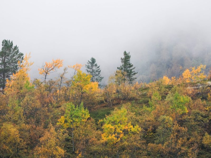 Wetter in Thüringen: Experte mit bitterer Herbst-Prognose – „Schluss mit lustig“