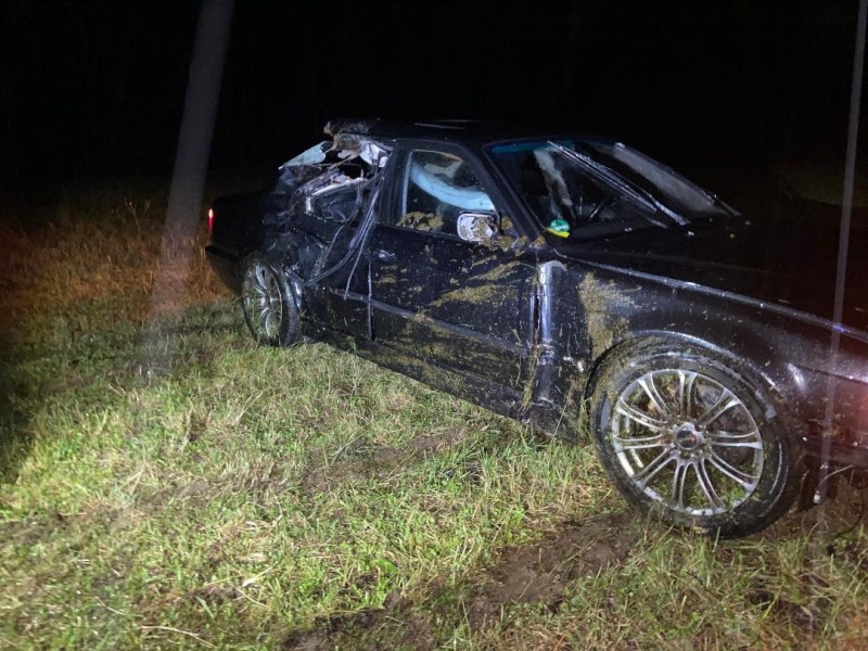 Thüringen: BMW-Raser katapultiert sich von der Straße! Jetzt hat er eine Kuh auf dem Gewissen