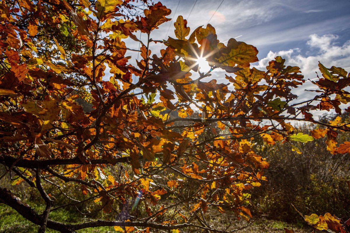 Wetter im Herbst