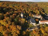 Im Stadtwald Gera in Thüringen ging es tierisch zur Sache.