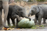 Zoo Leipzig