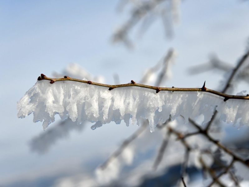 Wetter in Thüringen: Weihnachts-Prognose sorgt für Beben! Die Einschätzung des Experten ist knallhart