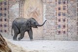 Zoo Leipzig