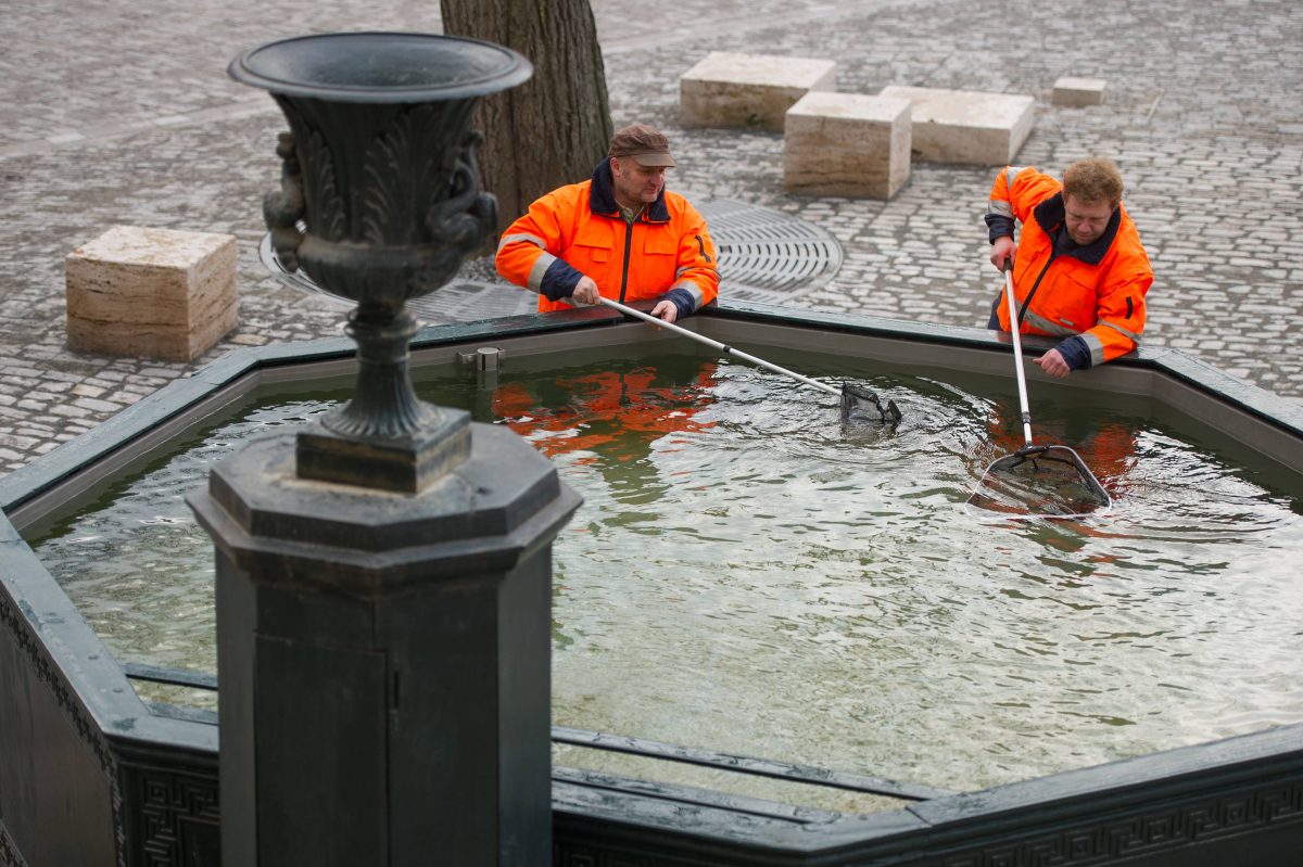 Thüringen: Sechs Fische schwammen im Herderbrunnen in Weimar.