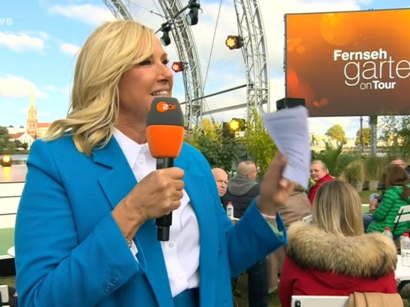 „Fernsehgarten“: Anweisung ans Publikum – „Nicht anfangen, Kiwi zu hassen“