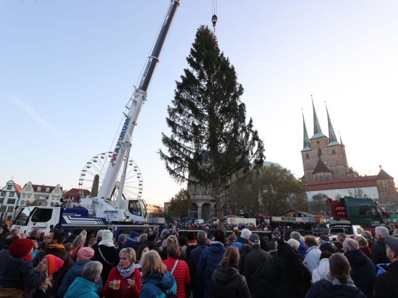 Erfurter schütteln beim Weihnachtsbaum-Anblick den Kopf – „Schämen muss man sich“