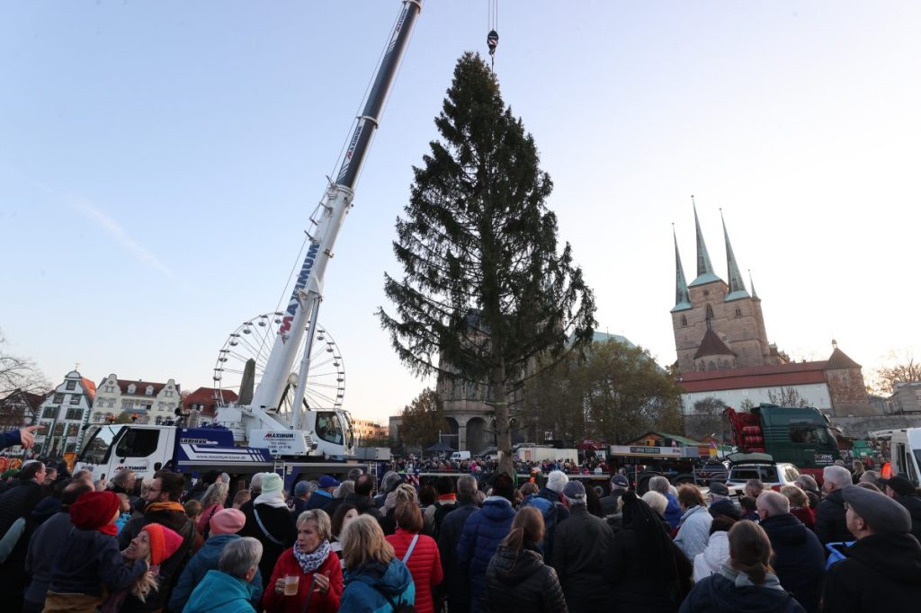 Dass der Baum nicht allen Erfurtern gefallen würde, war klar.