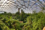 Die Tropenerlebniswelt Gondwanaland im Zoo Leipzig.