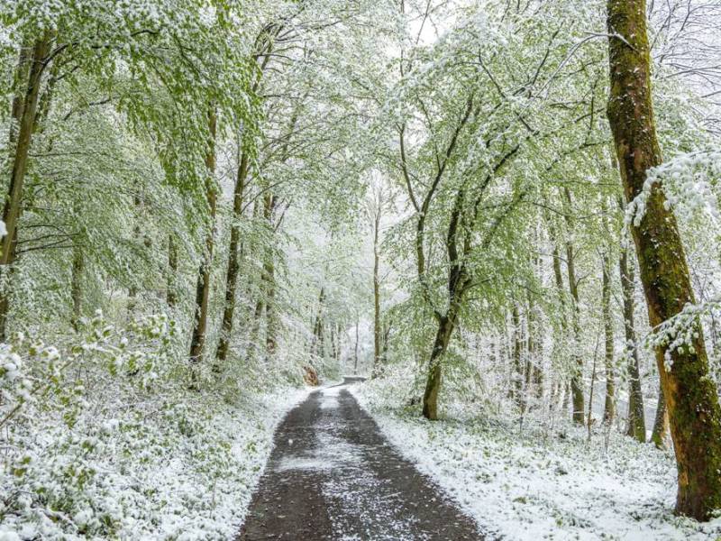 Wetter in Thüringen: Droht der erste Wintersturm? Experte spricht von „Spektakel“