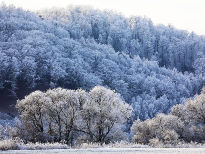 Wetter in Thüringen: Schnee-Prognosen überschlagen sich! „Dürfte Winter-Freunden gefallen“