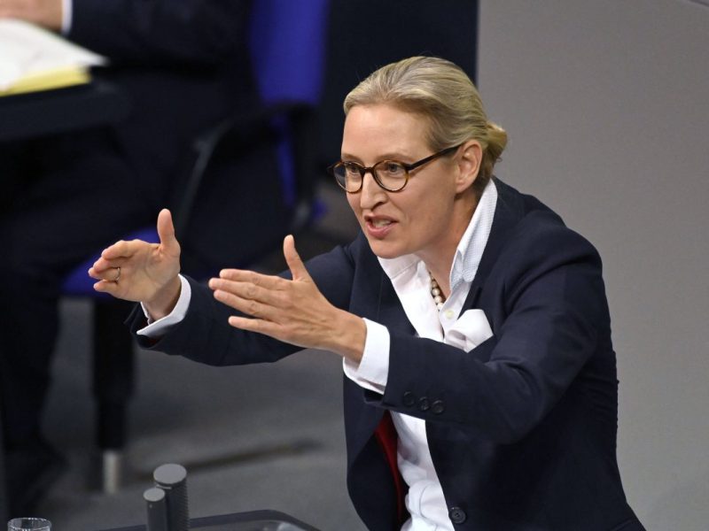 Alice Weidel wird ihre eigene Rede zu albern – sogar Kanzler Scholz lacht sich schlapp