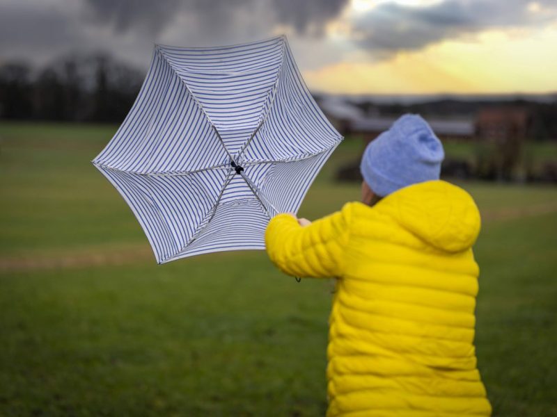 Wetter in Thüringen spielt komplett verrückt! Expertin wird deutlich: „Heftige Geschichte“